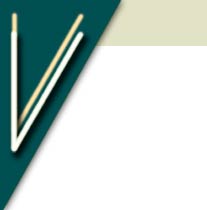 V_logo